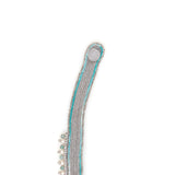 The Ethereal Geometric Necklace